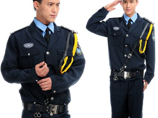 Professional East Asian security guard uniform with peaked cap and salute.